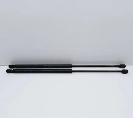 Tailgate/trunk strut/damper