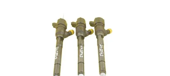 Hyundai Santa Fe Fuel injector 0445110254 D4EB