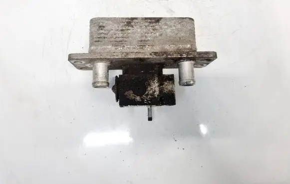 Tesla Model S Air conditioning (A/C) air dryer 101954000C