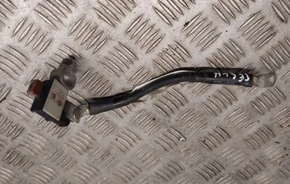 Tesla Model S Negative earth cable (battery) 100565300C 6PK01084200