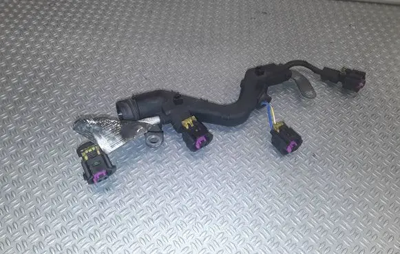 Opel Insignia A Fuel injector wires 55572001