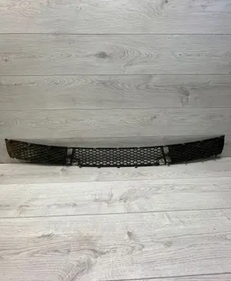 Front bumper lower grill