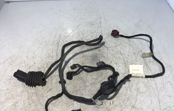 Fiat Ducato Front door wiring loom 1351438080 030000
