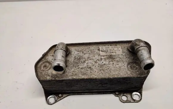 Volkswagen PASSAT B7 Engine oil radiator 02E409061