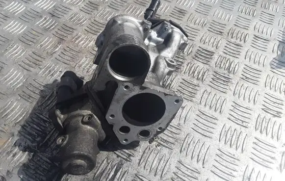 Nissan Note (E11) EGR valve 8200550361 8200282949