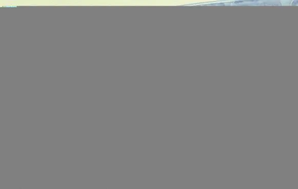 Fiat Scudo Engine bonnet/hood