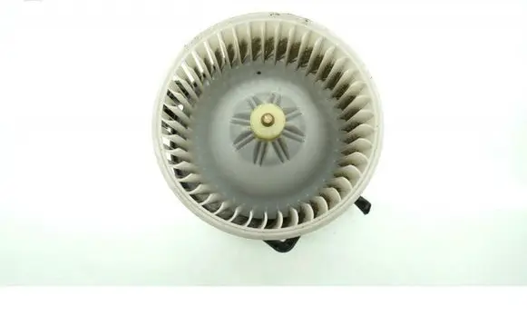 Mitsubishi Grandis Heater fan/blower 