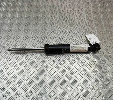 Volkswagen ID.4 Rear shock absorber/damper 1EA513049AN