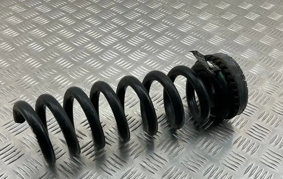 Rear coil spring