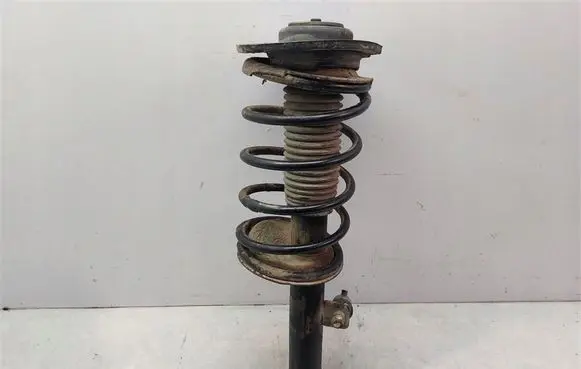Peugeot 206 CC Front shock absorber with coil spring