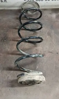 Renault Laguna III Rear coil spring 60856552