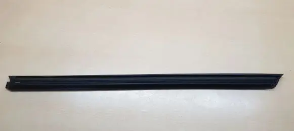 BMW X3 G01 Front door trim bar 7393417