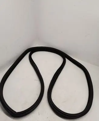 BMW X5 F15 Rear door rubber seal (on body) 7289639