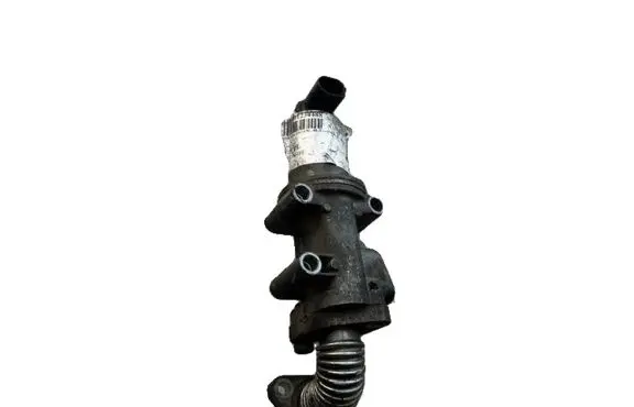 EGR valve