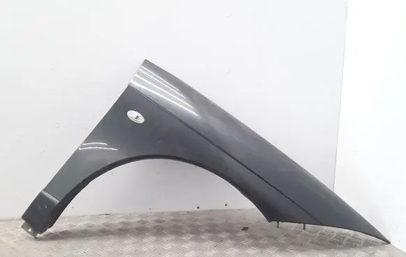 Citroen C6 Fender