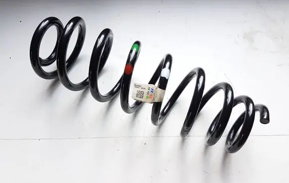 Rear coil spring