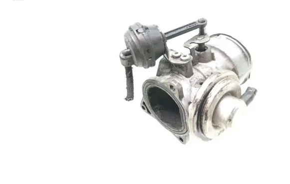 EGR valve