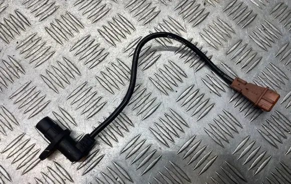 Citroen Xsara Crankshaft position sensor 10234006
