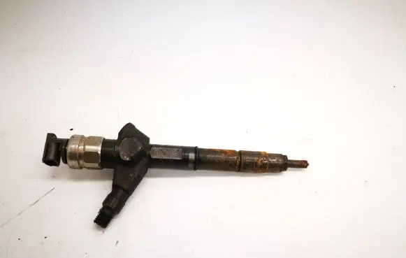 Nissan Pathfinder R51 Fuel injector 16600