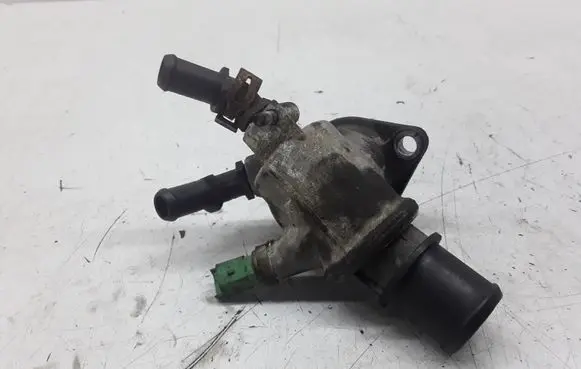 Thermostat/thermostat housing