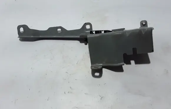 Renault Latitude (L70) Engine bonnet/hood hinges 654000010R