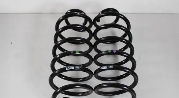 Ford Focus Rear coil spring 