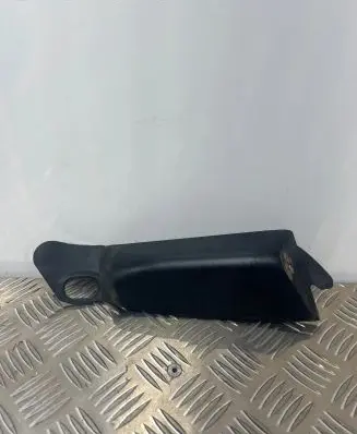Rear/tail light trim molding