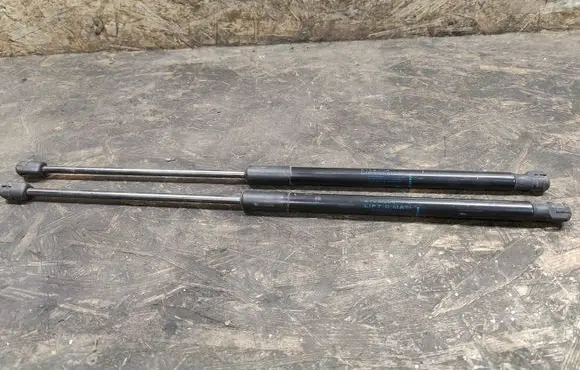 Dacia Sandero Tailgate/trunk strut/damper 8200735264