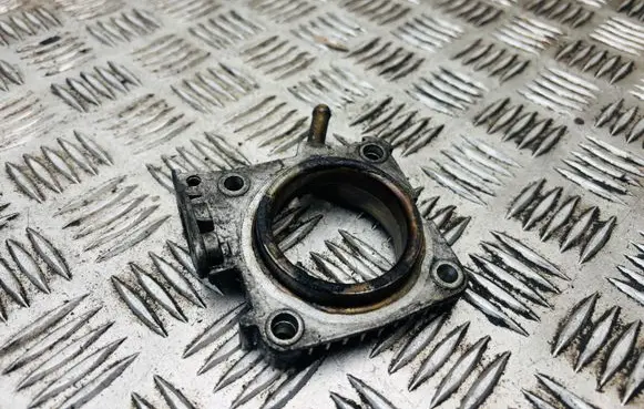 Volkswagen Golf IV Throttle body valve