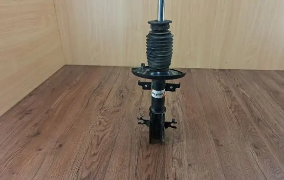 Renault Laguna III Front shock absorber/damper AGR144MT