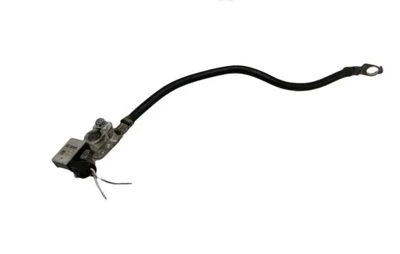 Ford C-MAX II Negative earth cable (battery) AV6N10C679