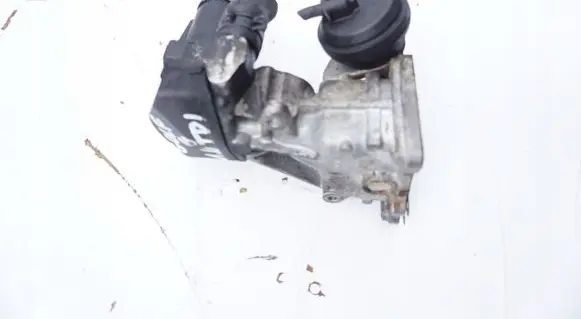 Volkswagen Golf VI EGR valve