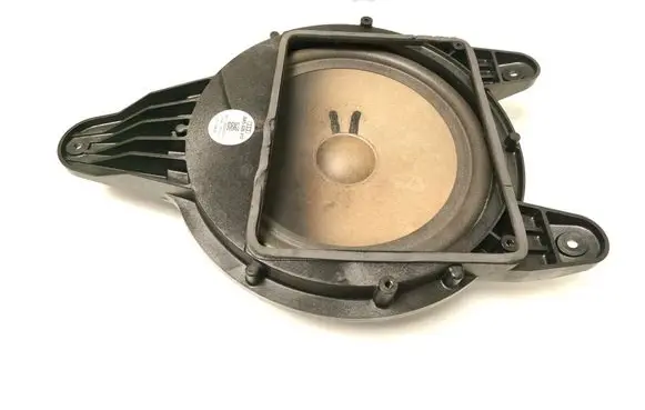 Front door speaker