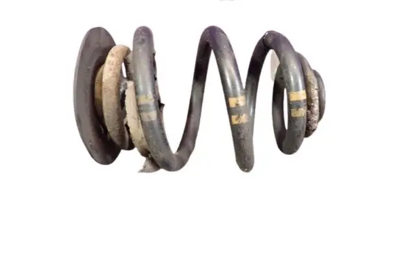 Rear coil spring