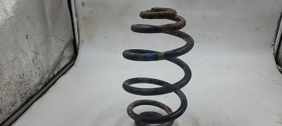 BMW 3 E46 Rear coil spring