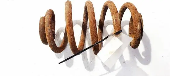 Renault Thalia I Rear coil spring 