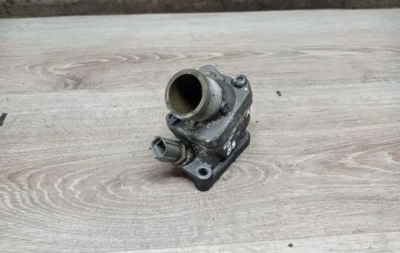 Thermostat/thermostat housing