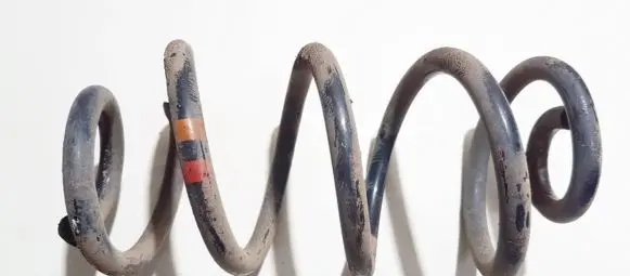 Nissan Qashqai Rear coil spring