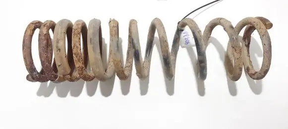 Ford Focus Rear coil spring