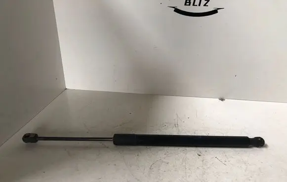 Opel Meriva B Tailgate/trunk strut/damper 13338367 315005777 0306280700N