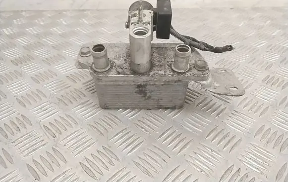 Tesla Model X Optional radiator 103735700D