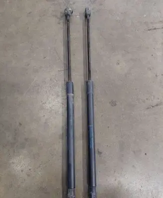 Tailgate/trunk strut/damper