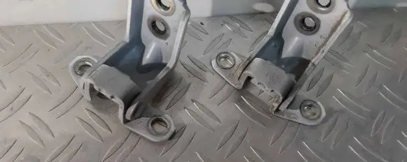 Nissan Leaf II (ZE1) Front door hinge set 