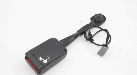 Tesla Model 3 Front seatbelt buckle 109032301D