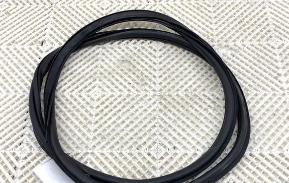Volkswagen T-Roc Rubber seal front door (on door) 