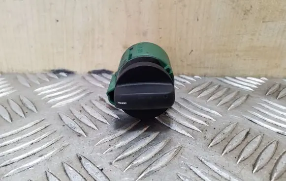 BMW 5 E39 Fog light switch 61316901342 6901342