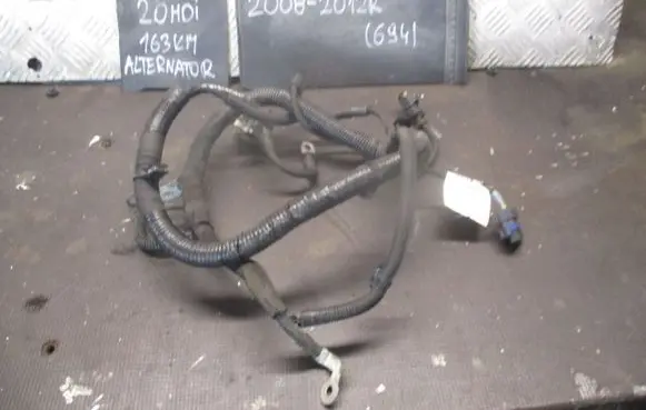 Citroen C5 Positive cable (battery) 9671834280