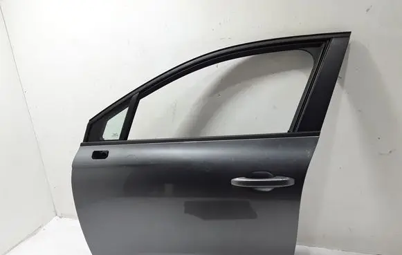 Renault Clio V Front door 801117899R