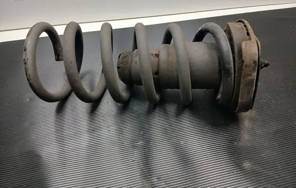 Rear coil spring