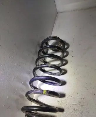 Rear coil spring